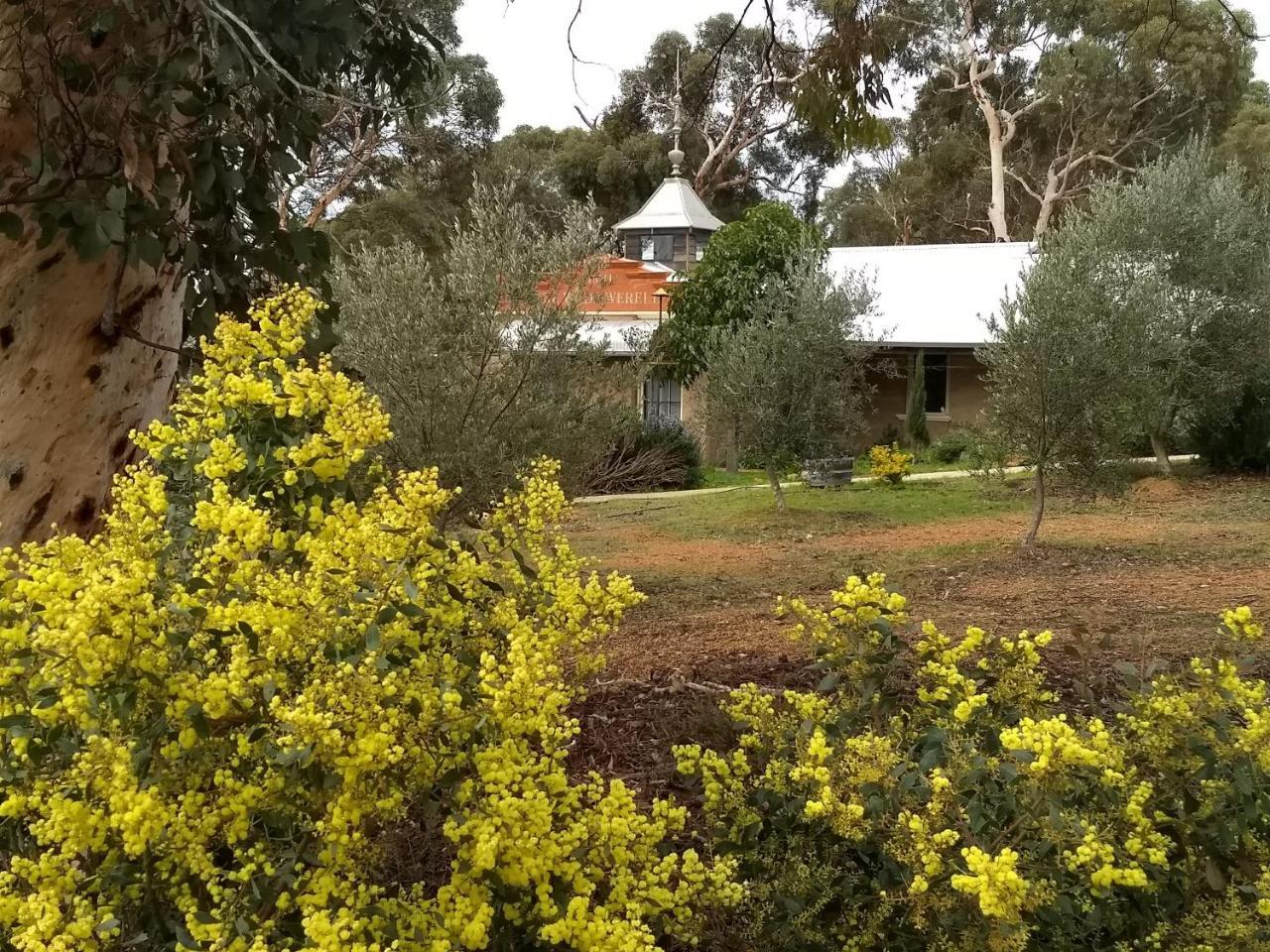 Hotham Ridge Apartment Wandering Esterno foto